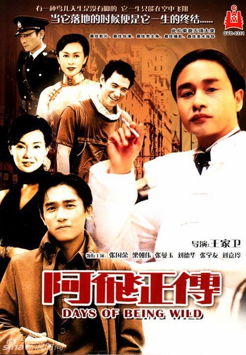 北佛罗里达大学本科offer